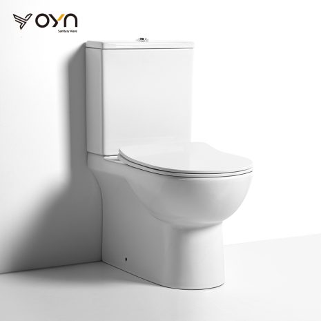 FT10 Two-piece Toilet (1)