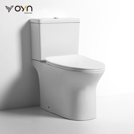 FT5 Two-piece Toilet (1)