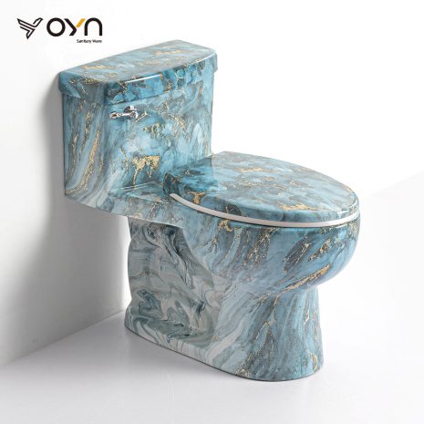 M5-Z02 One-piece Toilet (1)